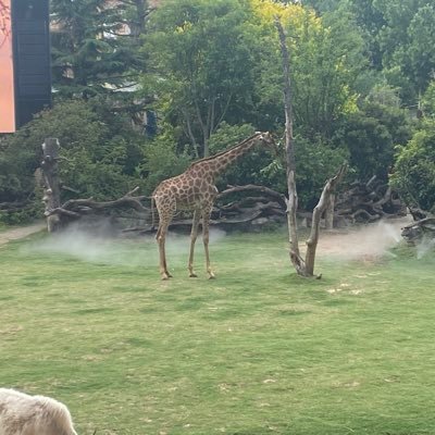 pi_hai3254's profile picture. 。