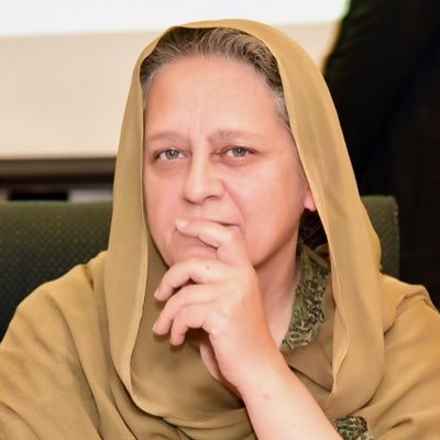 MussartAhmadzeb's profile picture. 