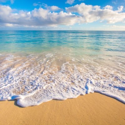 silbeme1's profile picture. - 🇦🇷Libertad,mi bien más Preciado😊