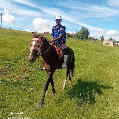 keke4nene's profile picture. Ke monna wa Mosotho. A hotseng Sesotho. Empa ka fetoha setsetse,ka phela bokataneng,moo setopo se etswang ka lerato,Gauteng maboneng!