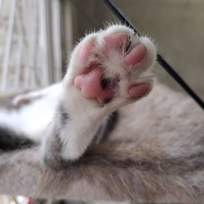 vivi94ana_'s profile picture. ✨Autofilia💫