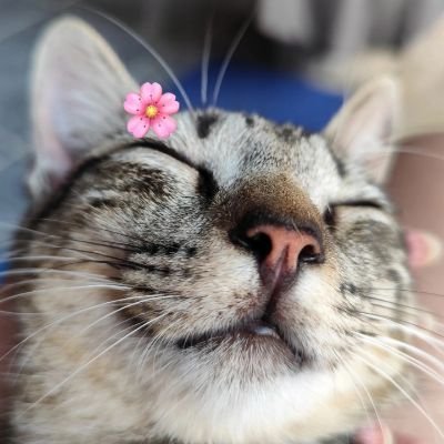 liviulis's profile picture. q não sei oq não sei oq, ah calaboca porra