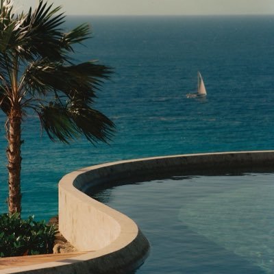 No91486's profile picture. 🌍