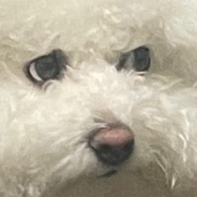 HDMIOutput2's profile image