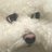 HDMIOutput2's profile image