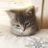 yueqi1101's profile image