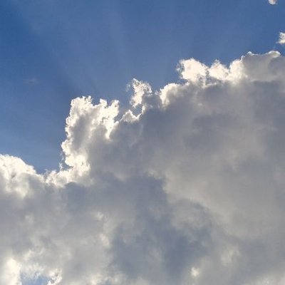 sabuxyz's profile image