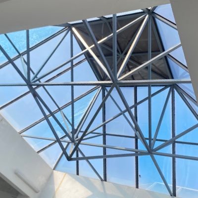 coolpampalm's profile picture. 