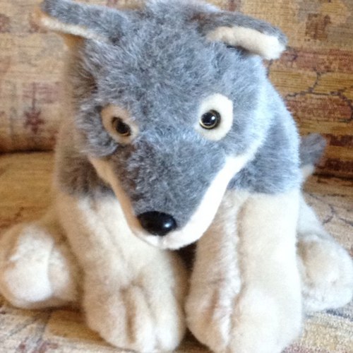 Twaddleduck567's profile picture. Single sided deafness in right ear (SSD), Severe to profound loss in left ear. Tinnitus. Rely heavily on BAHA processors. Very lucky recipient of Hylton HD.