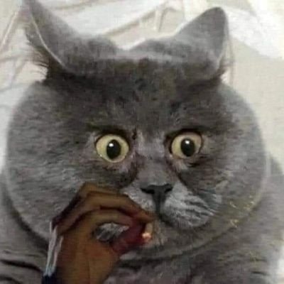 Twelxe_AE's profile picture. 