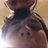 crockadill's profile image