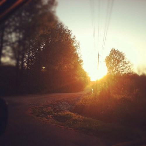 sviancourt's profile picture. hi.