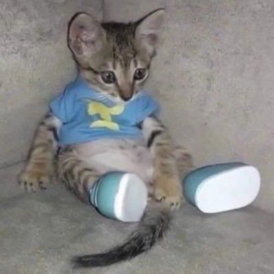 sujdjdi's profile picture. (-_-メ)