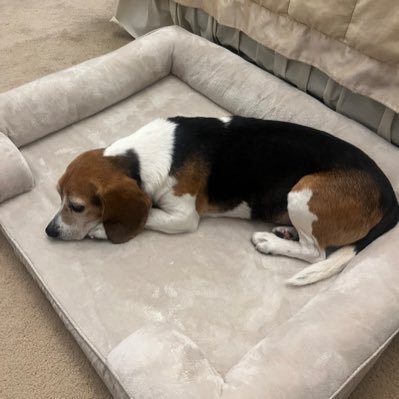 happyhannahkah's profile picture. 🎶 📸 🍉