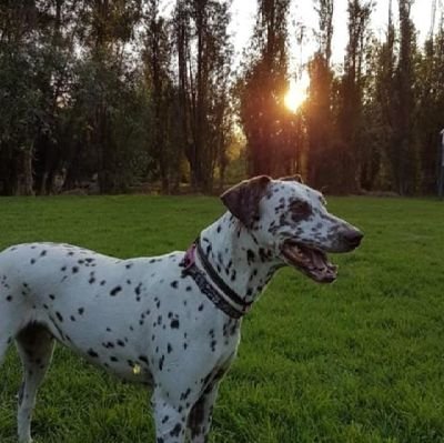 JorgeVilla3725's profile picture. Pareja de león GTO, buscando nuevas experiencias gusto por los tríos softh y los inter