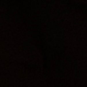 jaguarbaleine's profile picture. 