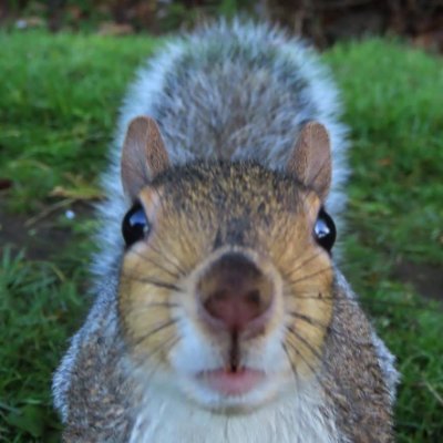 Rn1967Nicol's profile picture. I make stuff and I also like jelly and ice cream. , SACK the Board
Protect the NHS