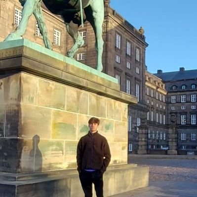 finn_onpolitics's profile picture. Normal dude, 
I like everton fc and social democracy