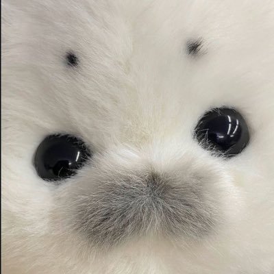 vo_o777v's profile picture. パチンコ・シーシャ・音楽etc...多趣味