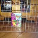 Gerry Gavin - @gergavin - Twitter