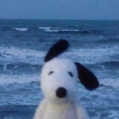 user2977245's profile picture. 