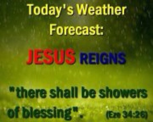 EddingtonMash's profile picture. 