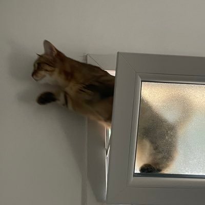 jtecroiispaas's profile picture. 