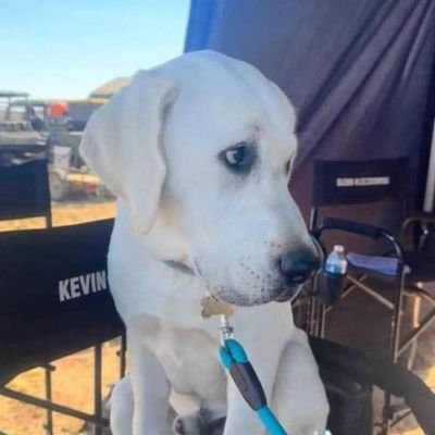 Johnmaria08's profile picture. 