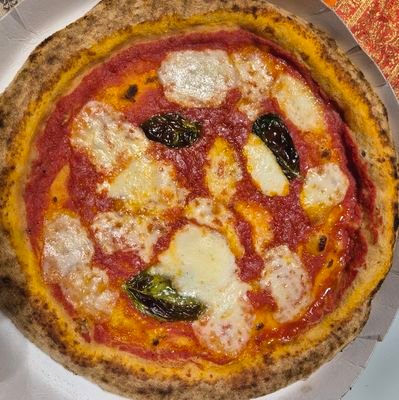 marinotalive's profile picture. órbita do teu pescoço