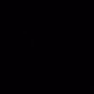 wzd991's profile picture. 