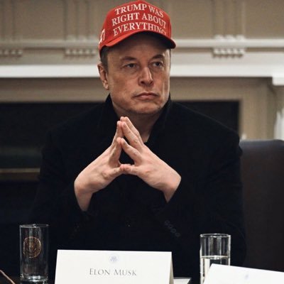 elonmuskxdoge72's profile picture. 