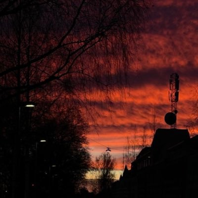 nygreen3's profile picture. legalisera pyroteknik! AIK och AC Milan, avdankad fotbollsspelare som nu är fotbollstränare