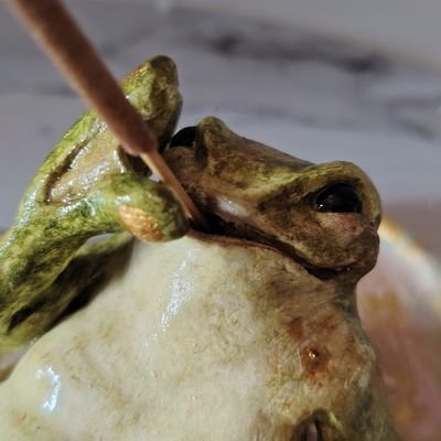 hojoho0's profile picture. Minsunga 💚🩷
🐸🐸🐸🇻🇪