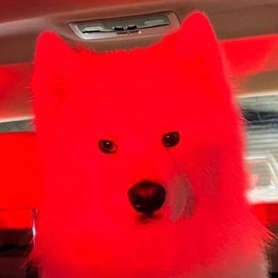 sssssamile's profile picture. ⠀ ⠀⠀⠀⠀    ⠀⠀⠀⠀⠀⠀    ⠀⠀⠀⠀⠀⠀⠀⠀⠀⠀⠀⠀⠀⠀⠀⠀⠀⠀⠀⠀⠀ ⠀⠀⠀⠀⠀⠀⠀⠀⠀⠀fall @ milephakphum⠀⠀ 
⠀⠀⠀⠀⠀⠀⠀⠀⠀⠀feel @ jesjpp ⠀⠀⠀⠀⠀⠀⠀⠀⠀⠀⠀⠀⠀⠀⠀⠀⠀⠀⠀⠀⠀⠀⠀⠀⠀⠀⠀⠀⠀⠀⠀⠀⠀⠀⠀⠀⠀⠀⠀⠀⠀⠀⠀⠀⠀⠀⠀⠀⠀⠀⠀⠀⠀⠀⠀⠀⠀⠀⠀⠀