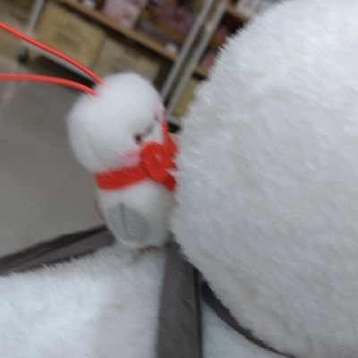 RenkaS645920's profile picture. 