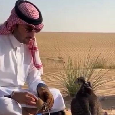 loney_kate1's profile picture. قْلوبنا ما اتشاف قْلوبنا لو تشاف .. لبّيت عايد علي لبّاية المعتمر .. أنا أحسب كل ليلة معك ليلة زفاف .. لو كنت تحسب حياتي معك ليلة سمر 🤍