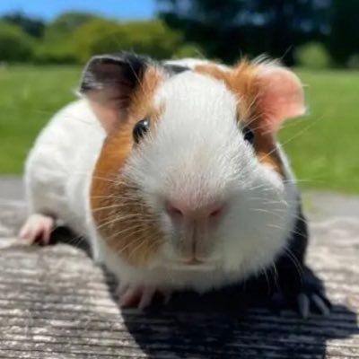 Marcelline25640's profile picture. 国内トップレベルの実績でご案内します🗼