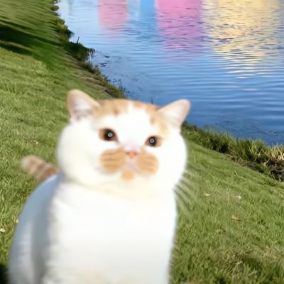 juanroululu's profile picture. 🐶