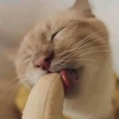 Malaika2000J's profile picture. Make life simple||don't be desperate||I follow back||