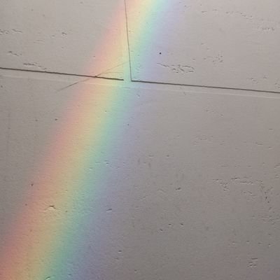 cy_lb_dus's profile picture. 영화에서나 사랑 때문에 죽는 거야 | 학생 여자 | 도서관 | 낯을 가려서 말을 못 걸어요..