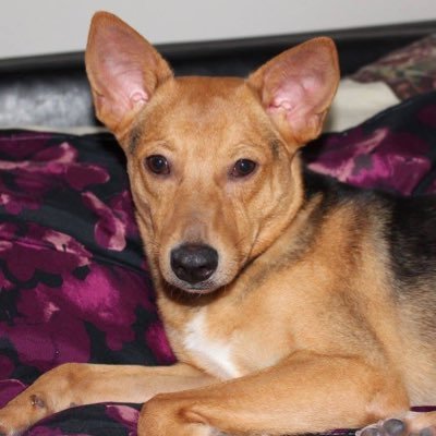 burnie68mac's profile picture. I believe in choice and freedom. I believe in Peace ❤️ United we stand. Divided we fall