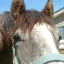 Jackie Conley - @JaxieJ - Twitter