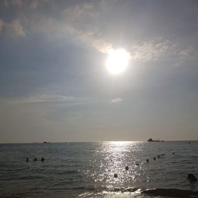 alulava's profile picture. 