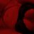sassyreaderiris's profile image