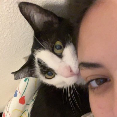 1helichrysum's profile picture. dijital günlük | izmir