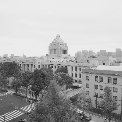 nagata_antiusa's profile picture. 