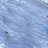 silam59's profile image