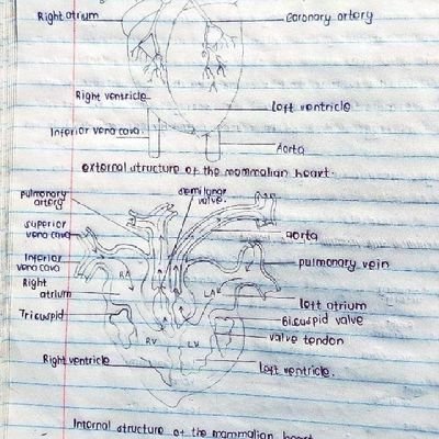 AShanize6925's profile picture. Nurse 💊💉