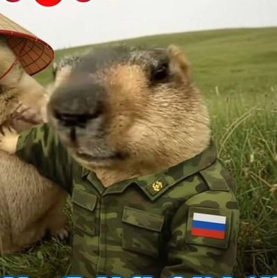 hahotoptik's profile picture. Пришёл в Х, для того чтобы попускать хохлят.
Слава России! 🇷🇺🇧🇾🇵🇼
Смерть убийце женщин и детей зелебобе с нетаньяху!