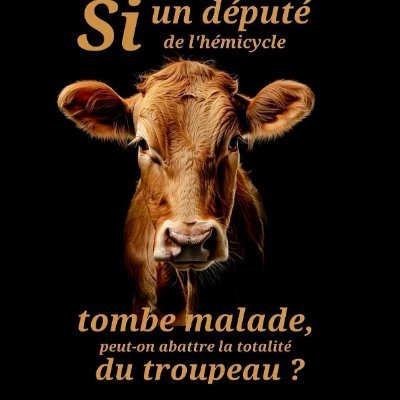 Frdouce1's profile picture. Si la liberté d'expression nous est enlevée alors, muets et silencieux, nous pourrons être conduits à l'abattoir comme des brebis.
Georges Washington